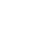 Danceflavors Logo