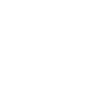 hochschulverband psychotherapie